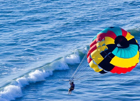 298363149 1088176102094046 8009628149067459575 n