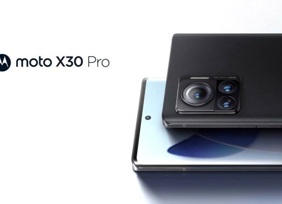 298628155 1010946576265596 6734096224861338447 n