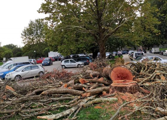 305545981 1740461659650961 3683038830374101735 n