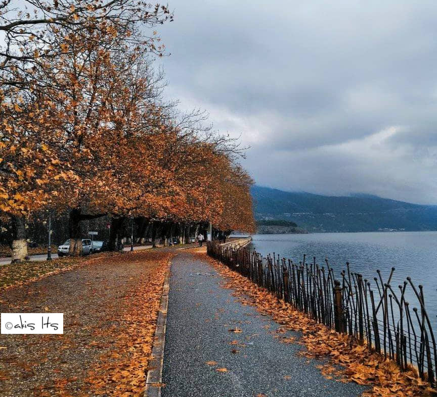 Οι 50 αποχρώσεις του… πορτοκαλί