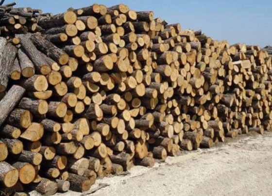 kausoksila 5 1 780x405 1