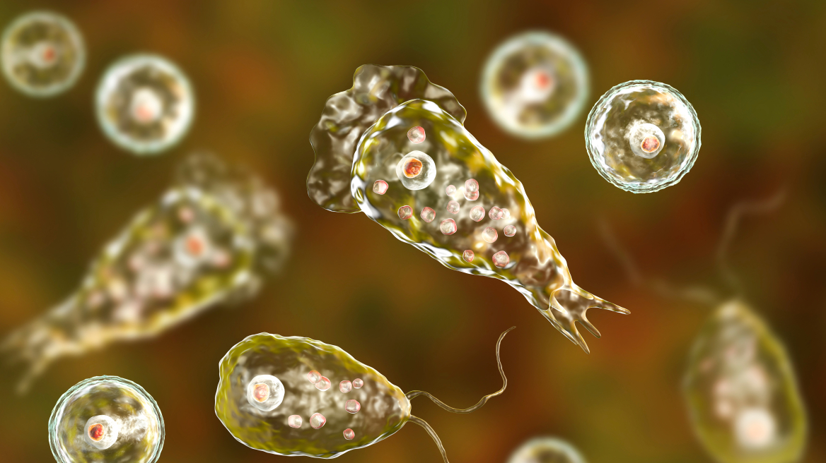 ΗΠΑ: Νεκρός ανήλικος από σπάνια αμοιβάδα