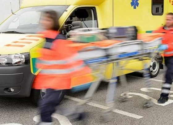 asthenoforo-giannenagr