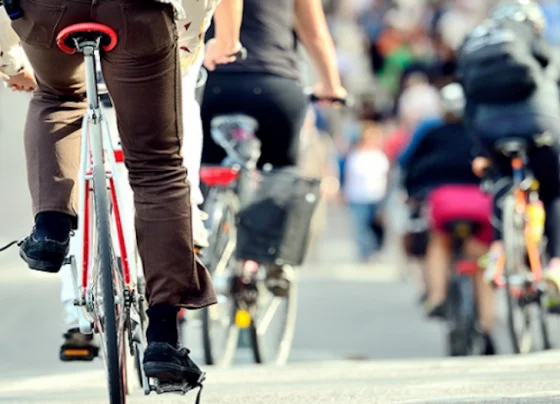 podilato-blog-giannenagr