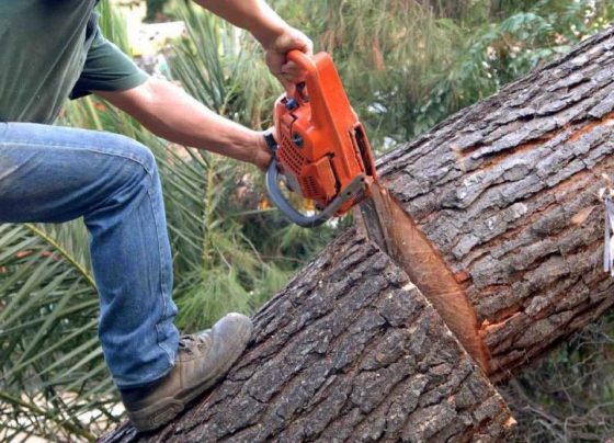 koph-dentron-atixima-giannenagr