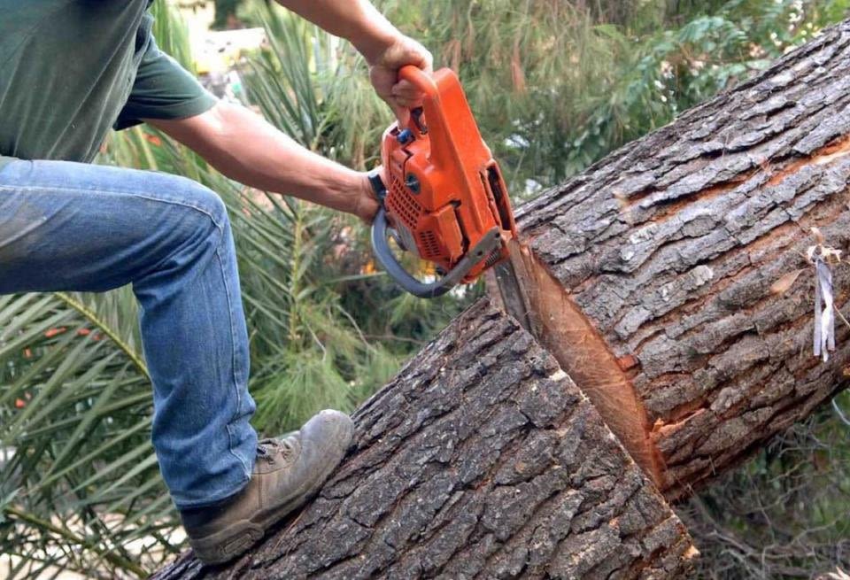 Ατύχημα κατά της διάρκεια κοπής Δένδρων