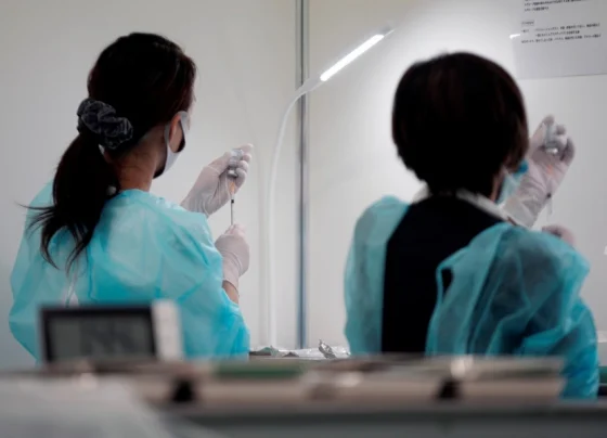 limata-meiosi-giannenagr