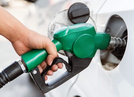 petrelaio-blog-giannena-oikonomia