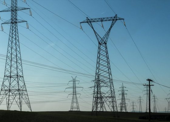 pulones-reuma-blog-giannenagr