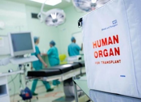 dorea-organon-giannenagr