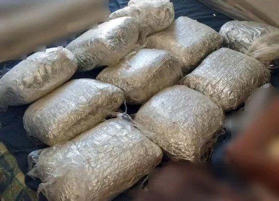 narkwtika-emporio-giannenagr