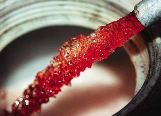 petrelaio-blog-giannenagr