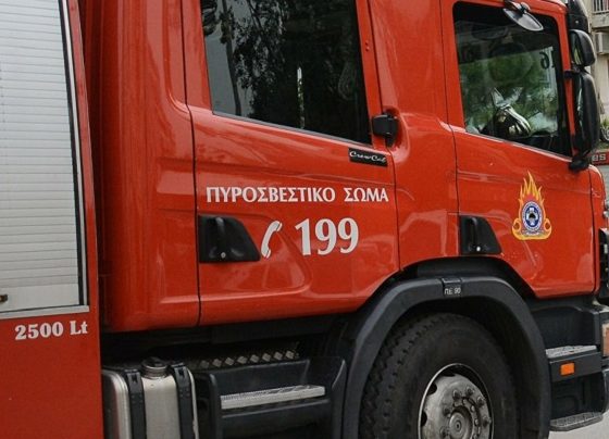 purosvestikh-giannena-gr