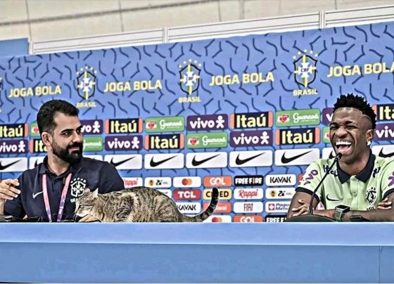 318889926 552632960028864 3434842258279701975 n