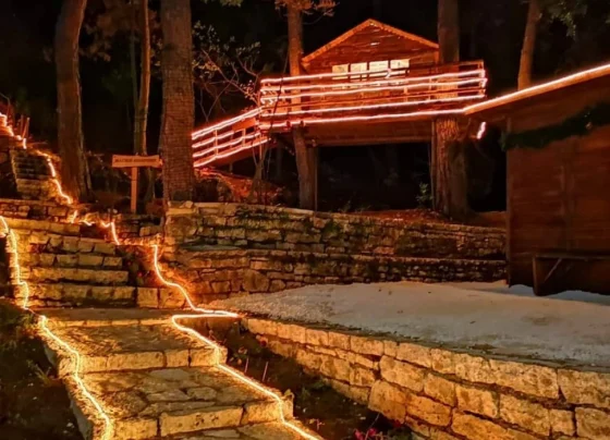 xorio-toy-ai-vasili-ioannina