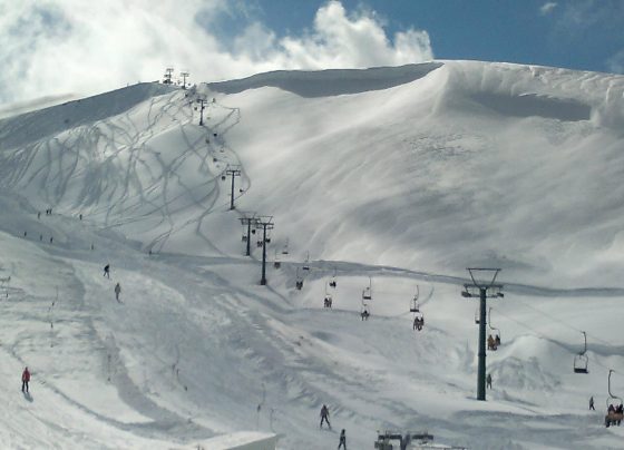 giannenagr-epikairotita-xionia