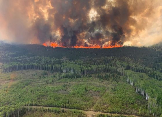giannena.gr-ioannina-blog-diethni-ekklisi-voitheias-o-kanadas-gia-tis-pirkagies