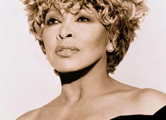 giannena.gr-ioannina-blog-epikairotita-efige-i-tina-turner