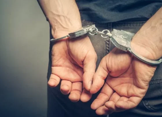 giannena.gr-ioannina-blog-ioannina-silipseis-gia-narkotika-sta-giannena