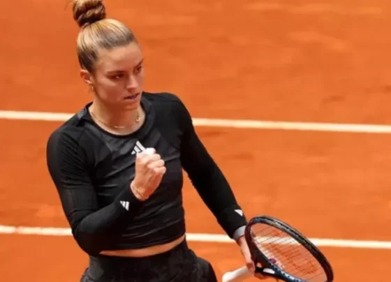 giannena.gr-ioannina-blog-sakkari