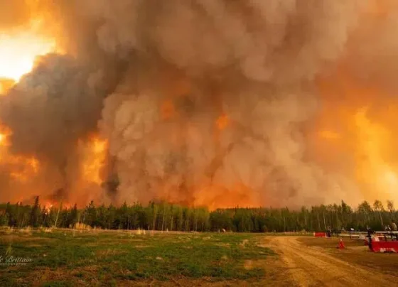 giannena.gr-ioannina-blog-diethni-xiliades-egkataleipoun-ta-spitia-tous-ston-canada-logo-purkagion