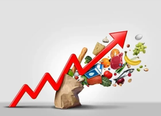 giannena.gr-ioannina-blog-oikonomia-meiothike-o-plithorismos-auksanontai-oi-times-sta-proionta