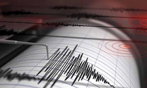 seismografos2